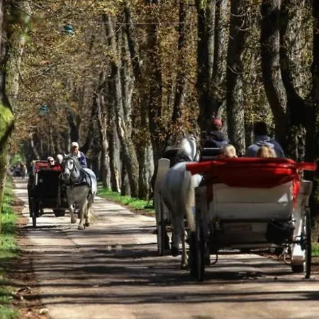Kuca Za Izdavanje * Sarajevo